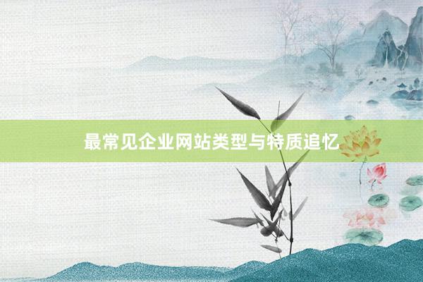 最常见企业网站类型与特质追忆